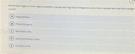 Solved Which brain region is more highly activated in people | Chegg.com