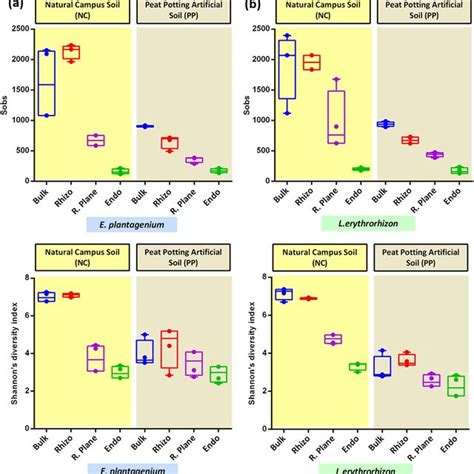 Boxplot Of Alpha Diversity Indices For Bacterial Communities Among Two