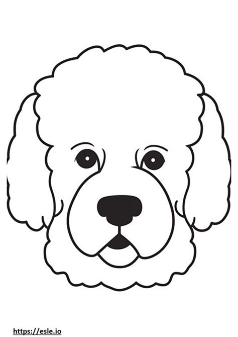 Bichon Frise Coloring Pages Free Printable