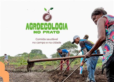 Agroecologia No Prato Instituto Mapinguari