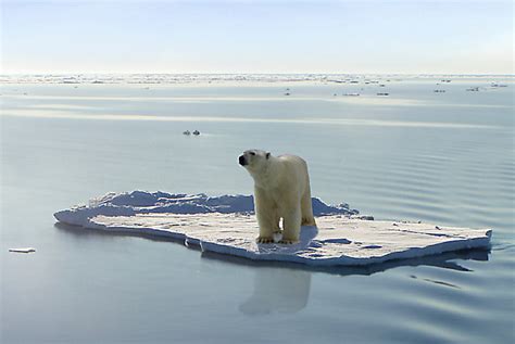 Climate Change in Polar Regions - Greenability Magazine