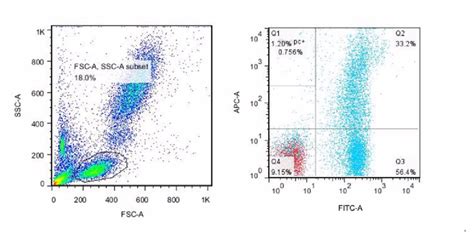 Pdcpbmc Detected By Flow Cytometric Analysis Download Scientific