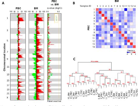 Figure 1 From A Comparison Of DNA Mutation And Copy Number Profiles Of