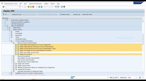 SAP SD Revenue Account Determination SD FI Integration Part 02