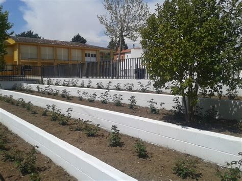 Ceip Juan Carlos I Porcuna JaÉn Llega La Primavera Al Juan Carlos I