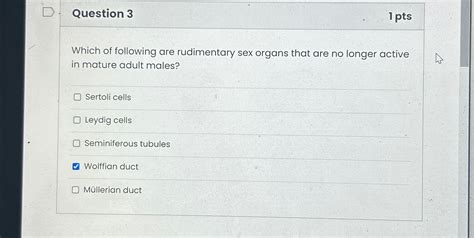 Solved Question Ptswhich Of Following Are Rudimentary Chegg