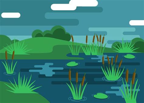 Marsh Illustration Vector 175348 Vector Art At Vecteezy