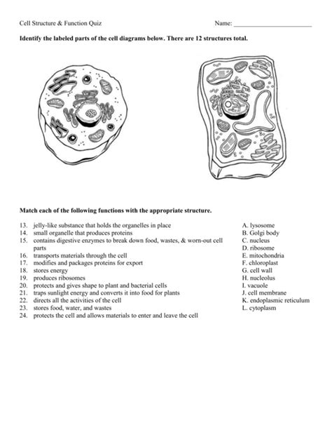 Cell Parts And Functions Quiz Pdf Reviewmotors Co