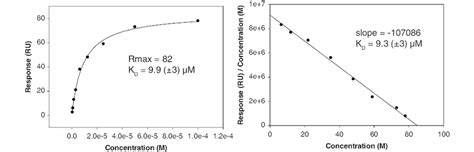 Langmuir Adsorption Isotherm For The Concentration Dependent Binding Of