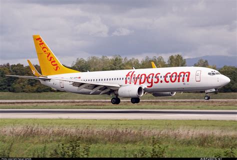 Pegasus Airlines Boeing Ng Max Tc Aph Photo Airfleets