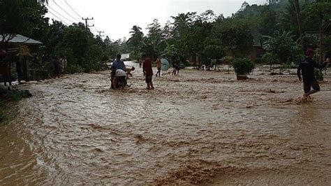 372 Hektar Lahan Pertanian Terdampak Banjir Bandang Di Tanggamus