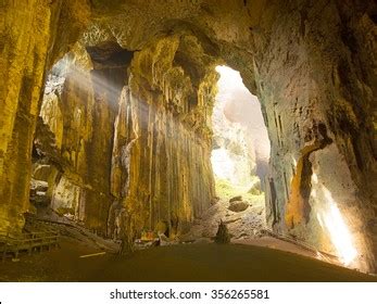 101 Gomantong caves Images, Stock Photos & Vectors | Shutterstock