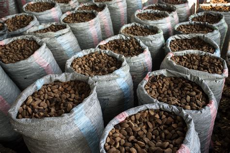 Amazzonia, viaggio nel cuore della foresta - CESVI Fondazione - ETS