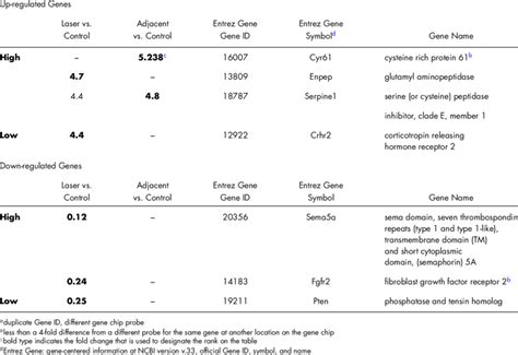 Genes Determined By Microarray Analysis Showing A Four Fold Or Greater