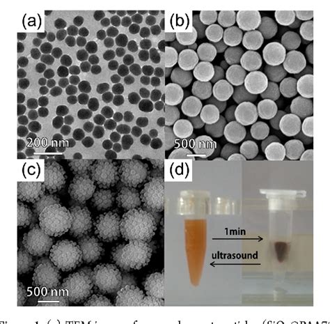 Figure 1 From Improvement Of Protein Immobilization And Bioactivity Of