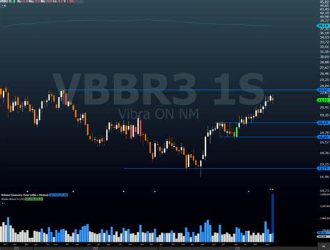 O Que H De Bom Para Vibra Vbbr Na Proposta Da Eneva Enev