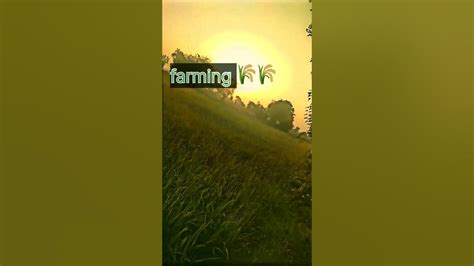 Farming Status🌾 ️🌾🌄 Trending Shortvideo Viralshort Youtube