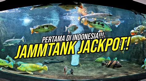 Gak Habis Pikir Megatank Ikan Predator Gua Jackpot Pertama Di