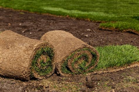 Premium Photo Green Grass In Rolls For Lawn And Designer Landscape The Stacking Of Roll Green