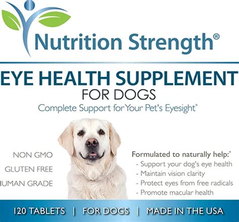 Maintaining Good Eye Health In Cocker Spaniels Through Nutrition Dog