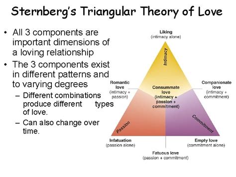 Chapter 16 Love Attraction Relationships And Communication What