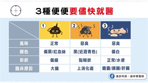 從大便看健康！氣味、顏色、形狀，初步分辨腸道疾病 3種便便警訊要就醫