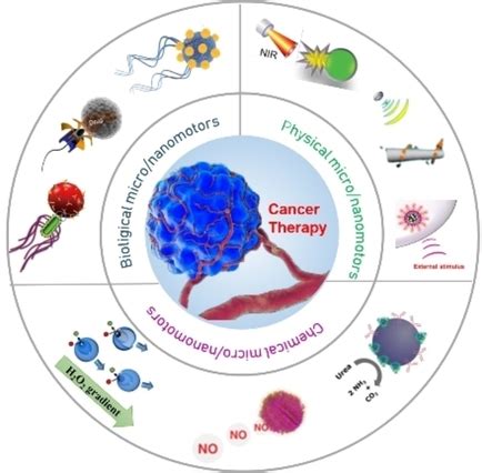 Research Progress Of Micro Nanomotors For Cancer Treatment Li 2020