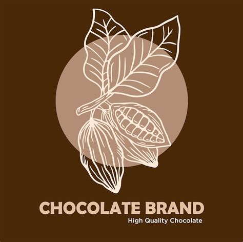 Dibujado A Mano Logo Cacao Deja Semillas De Cacao Y Conjunto De