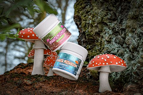 Introducing Moon Shrooms Amanita Mushroom Gummies Our New Legal