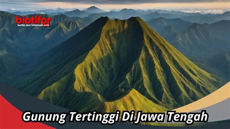 5 Gunung Tertinggi Di Jawa Tengah Puncak Yang Penuh Pesona Biotifor