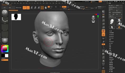 Zbrush 2022破解版 Pixologic Zbrush 2022 数字雕刻和绘画程序 软件先锋