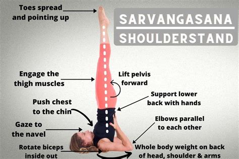 Sarvangasana Shoulder Stand Steps Benefits And Precautions Fitsri