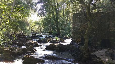 Senda do Anllóns Un precioso paseo fluvial para visitar coa familia