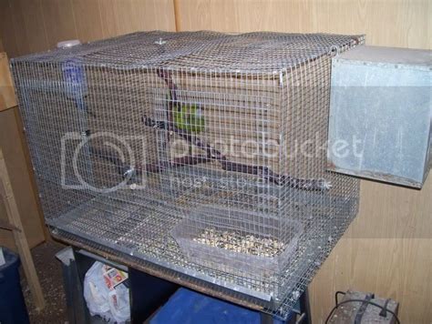 What To Consider When Adding A Nesting Box To Your Parakeet Cage | Master Parrot