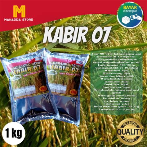 Jual Bibit Padi Kabir 07 Benih Unggul 1 Kg Kab Blitar Mawadda