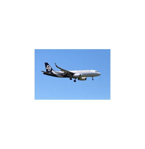 Poster - Air New Zealand A320 Silver Fern