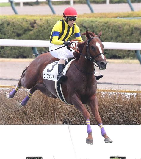 【新潟1r・障害3歳上未勝利】五十嵐雄祐騎手がjra障害通算160勝を達成！ 歴代単独7位に躍り出る Umatoku 馬トク