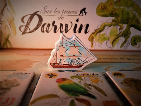 Sur les Traces de Darwin Jeu de société Sorry We Are French