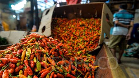 Tak Kunjung Turun Harga Cabai Rawit Merah Tembus Rp 100 Ribu Bisnis