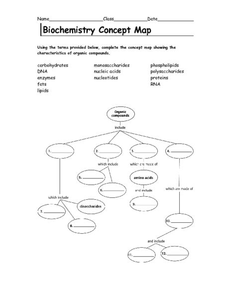 Biochemistry Concept Map Organizer for 10th - 12th Grade | Lesson Planet