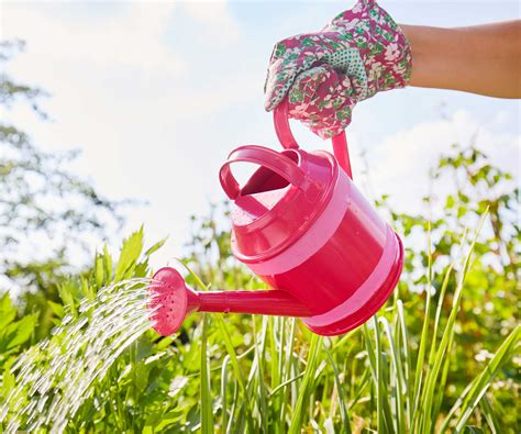 Can You Water Plants With Dishwater Experts Reveal All Homes And Gardens