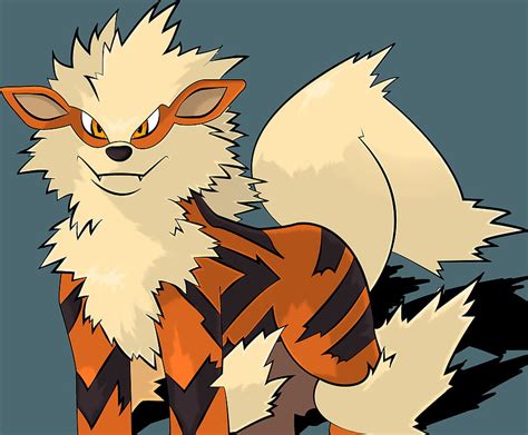 25 Arcanine Hd Wallpaper Pxfuel