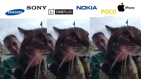 Cat Meows Into Door Camera Meme But Famous Phone Ringtones YouTube