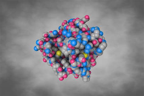 Sex Hormone Binding Globulin Shbp Or Sex Steroid Binding Protein Ssbp A Glycoprotein That