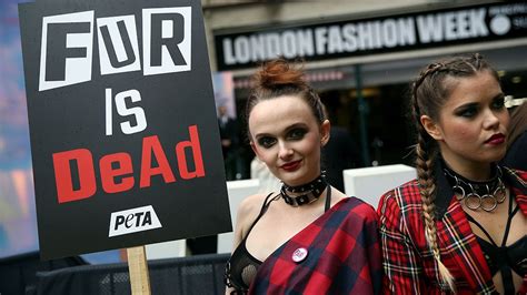 Peta Compra A Es Da Lvmh Para Ter Acesso S Assembleias E Denunciar