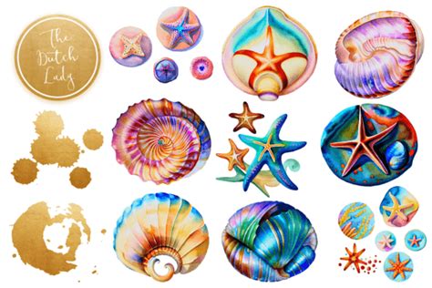 Fantasy Seashell Starfish Clipart Set Graphic By Daphnepopuliers