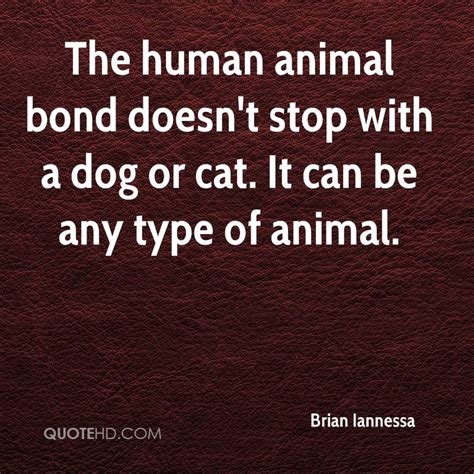 Human Animal Bond Quotes. QuotesGram