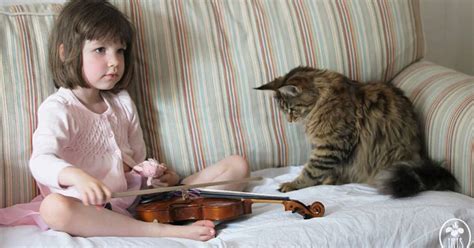 La Conmovedora Historia De Una Niña Autista Y Su Gato Guía Infobae