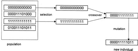 Genetic Operators Selection Crossover And Mutation Download