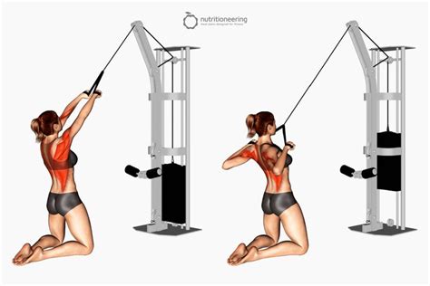 High Row Machine Alternative Kneeling Cable High Row Back Cable